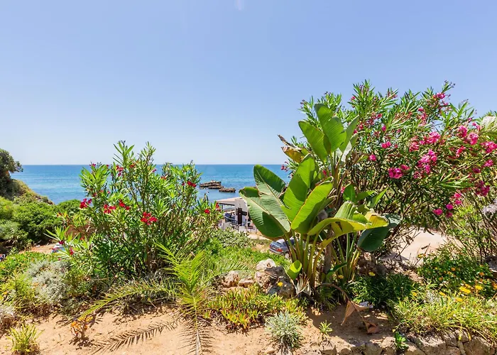 Appartement Beachfront Dos Aveiros Albufeira