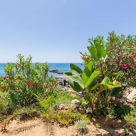 公寓 Beachfront Dos Aveiros 阿尔布费拉
